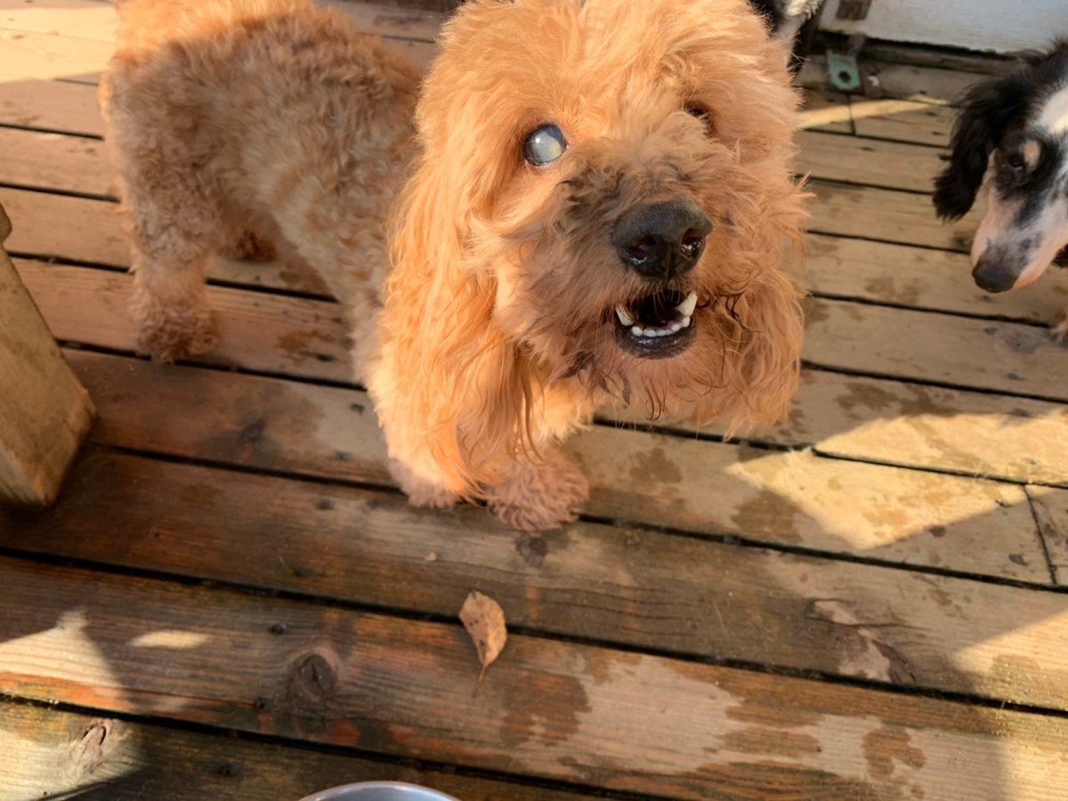 f:id:roukenhome-ann:20191027064722j:plain