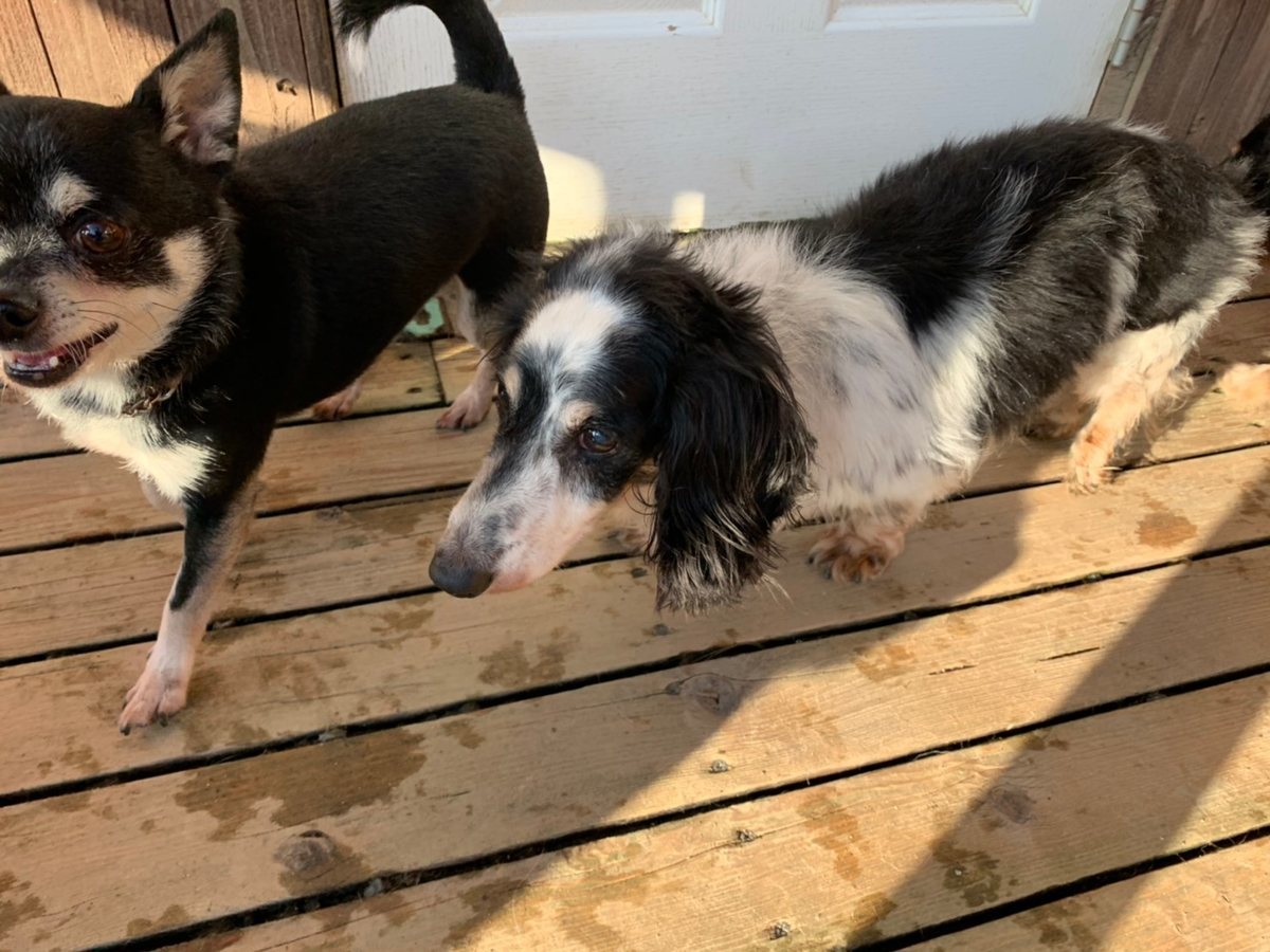 f:id:roukenhome-ann:20191027064735j:plain