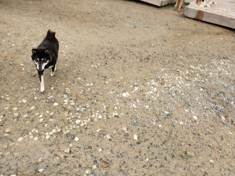 f:id:roukenhome-ann:20191027142341j:plain