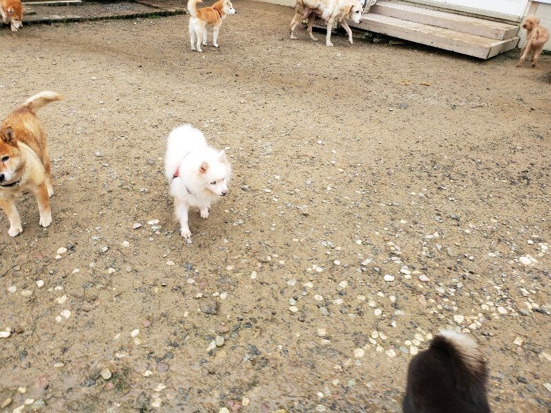 f:id:roukenhome-ann:20191027142350j:plain