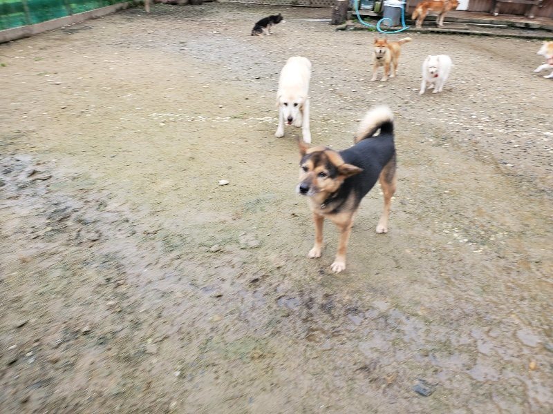f:id:roukenhome-ann:20191027142355j:plain