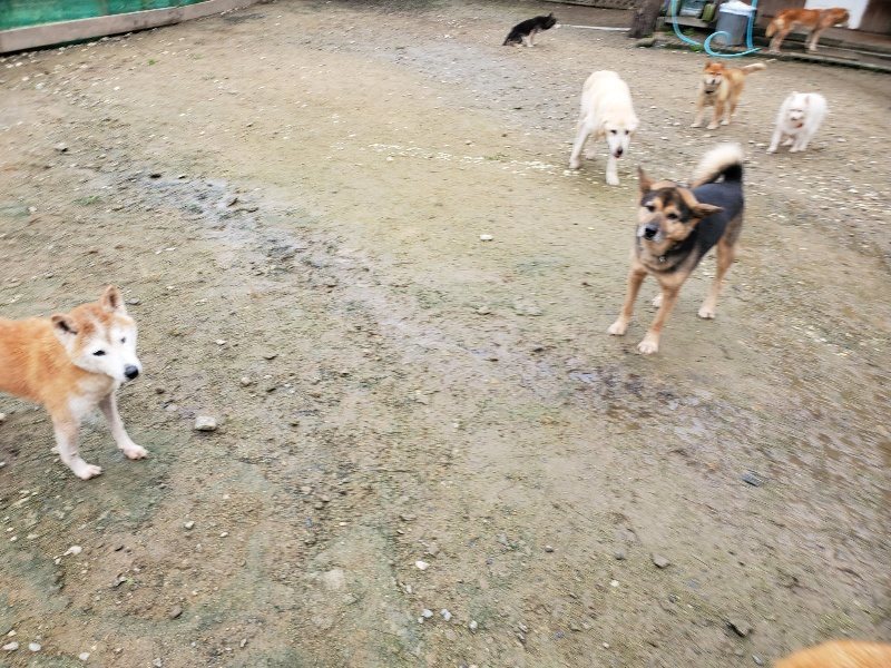 f:id:roukenhome-ann:20191027142403j:plain