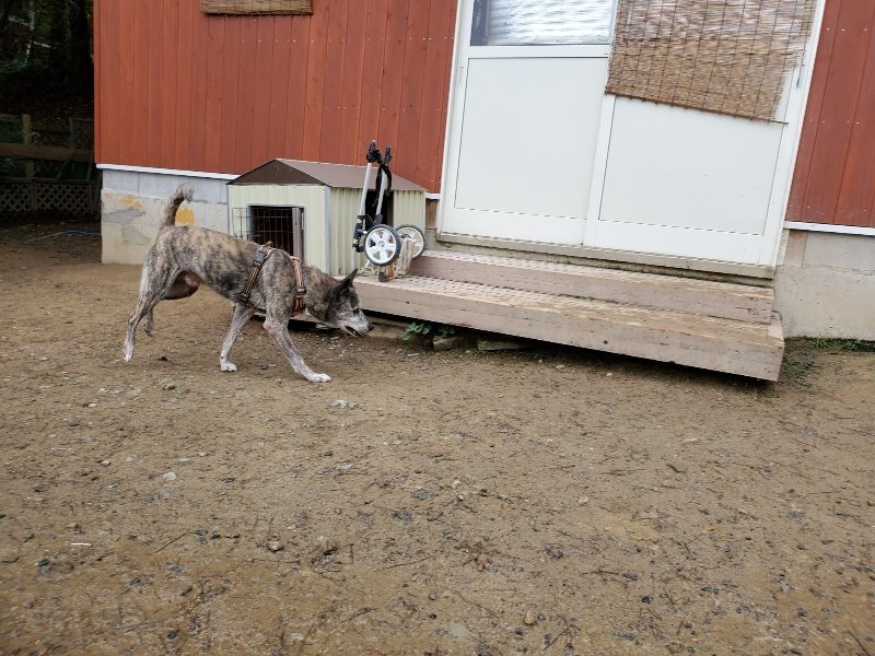 f:id:roukenhome-ann:20191027142410j:plain