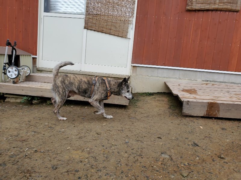 f:id:roukenhome-ann:20191027142418j:plain
