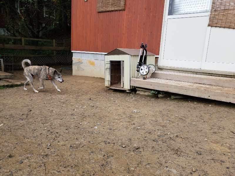 f:id:roukenhome-ann:20191027142430j:plain
