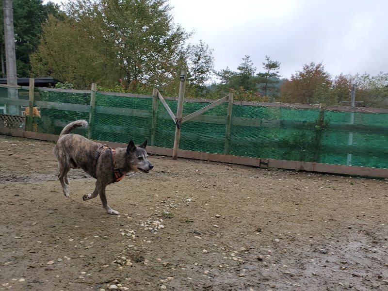f:id:roukenhome-ann:20191027142440j:plain