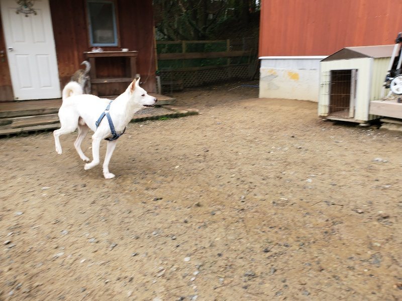 f:id:roukenhome-ann:20191027142449j:plain