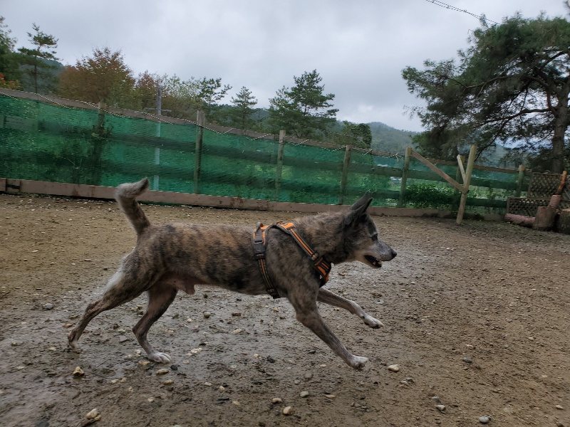 f:id:roukenhome-ann:20191027142459j:plain