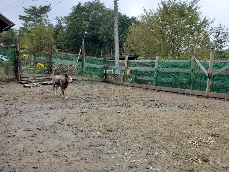 f:id:roukenhome-ann:20191027142506j:plain