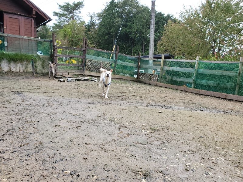 f:id:roukenhome-ann:20191027142513j:plain