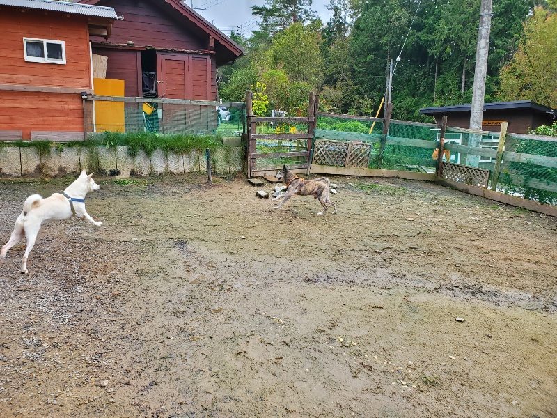 f:id:roukenhome-ann:20191027142538j:plain