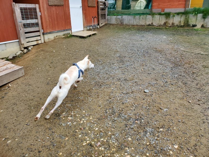 f:id:roukenhome-ann:20191027142547j:plain