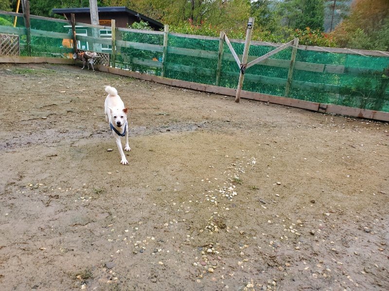 f:id:roukenhome-ann:20191027142554j:plain