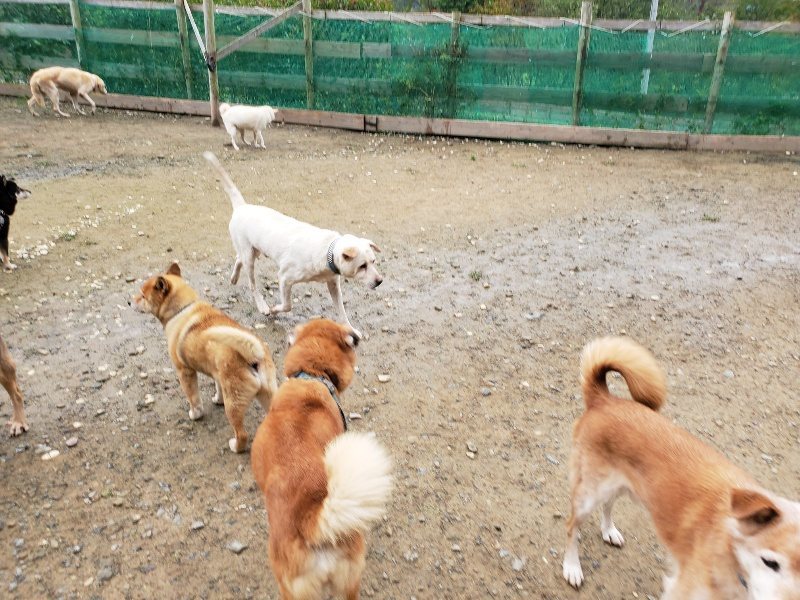 f:id:roukenhome-ann:20191027142629j:plain