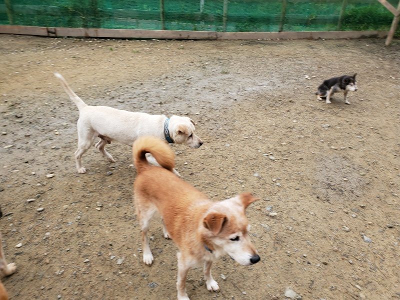 f:id:roukenhome-ann:20191027142635j:plain