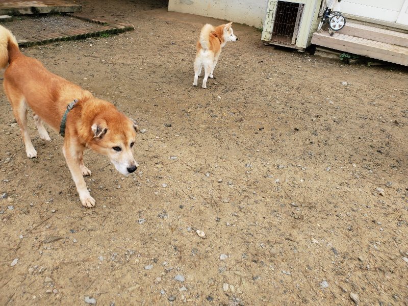 f:id:roukenhome-ann:20191027142657j:plain