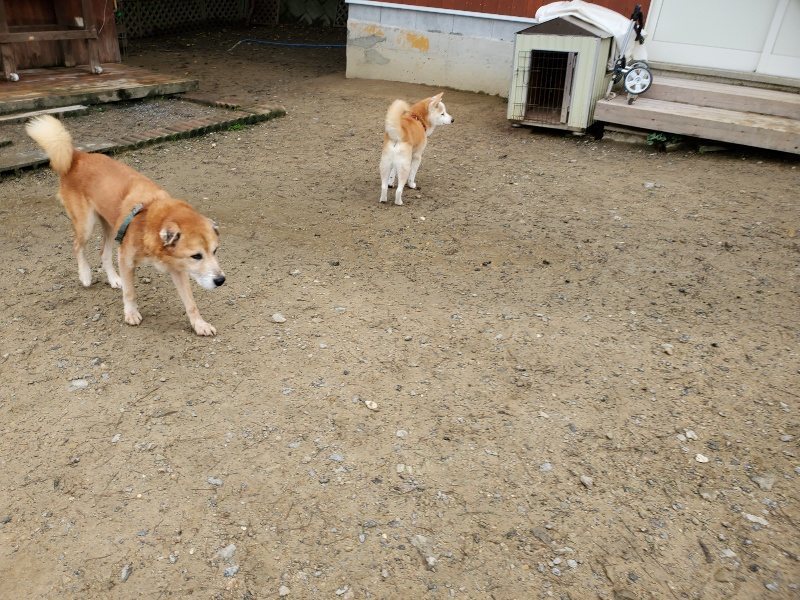 f:id:roukenhome-ann:20191027142713j:plain