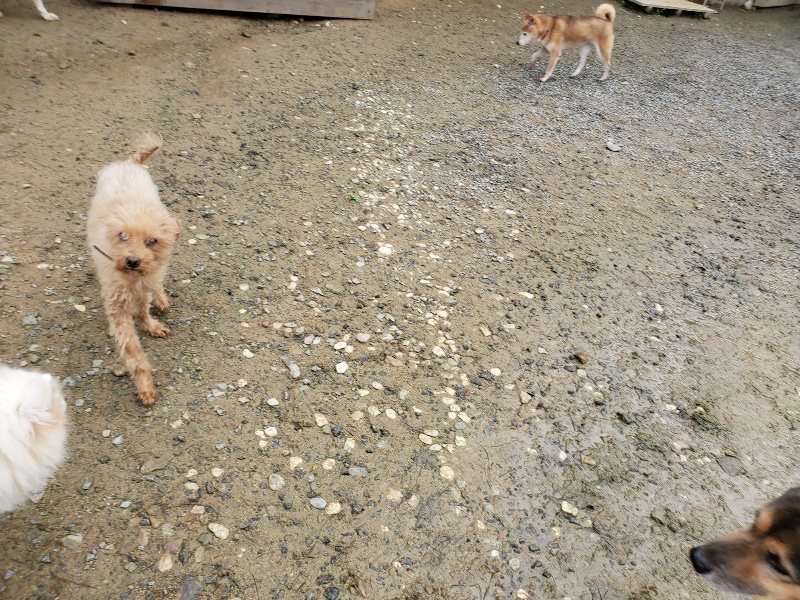 f:id:roukenhome-ann:20191027142719j:plain
