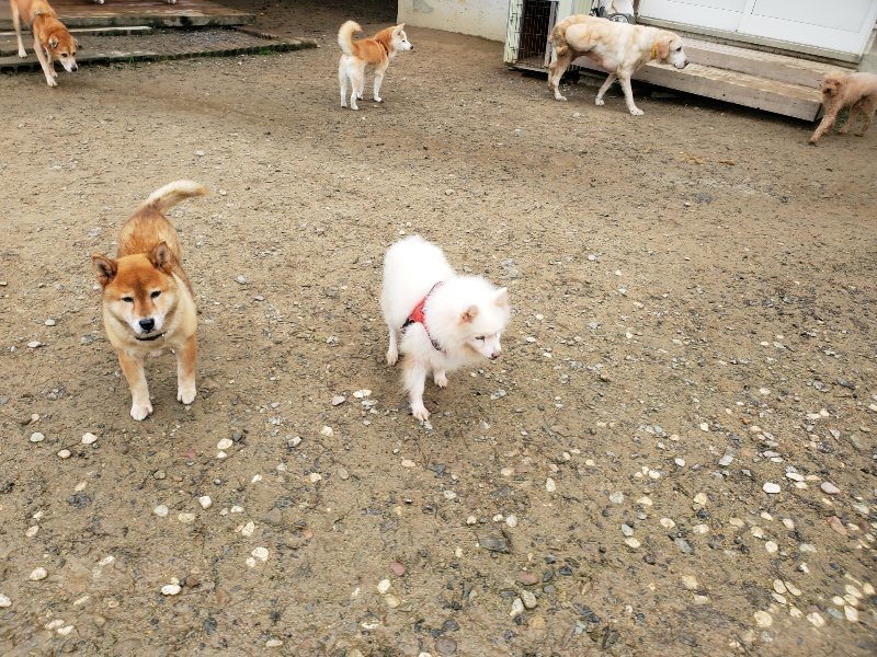 f:id:roukenhome-ann:20191027142728j:plain
