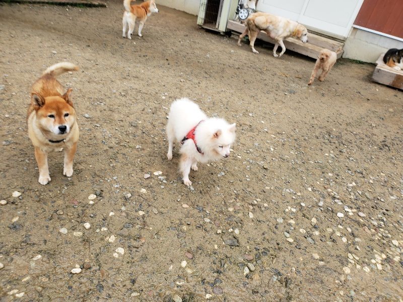 f:id:roukenhome-ann:20191027142747j:plain