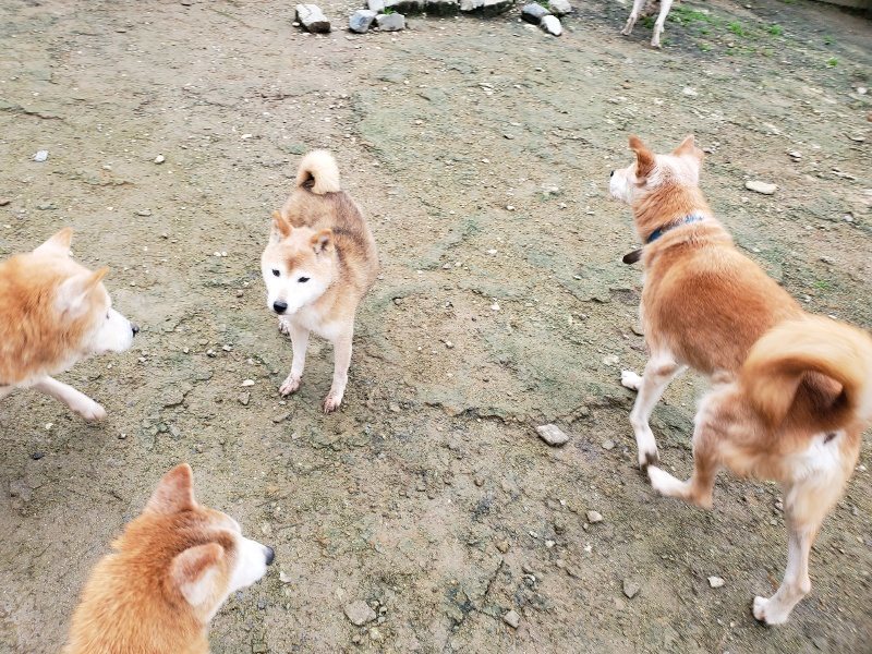 f:id:roukenhome-ann:20191027152714j:plain