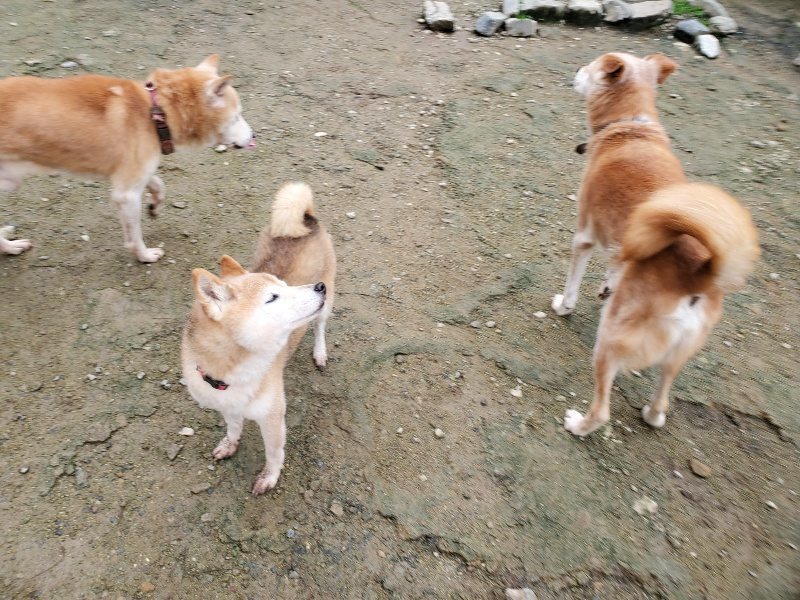 f:id:roukenhome-ann:20191027152721j:plain