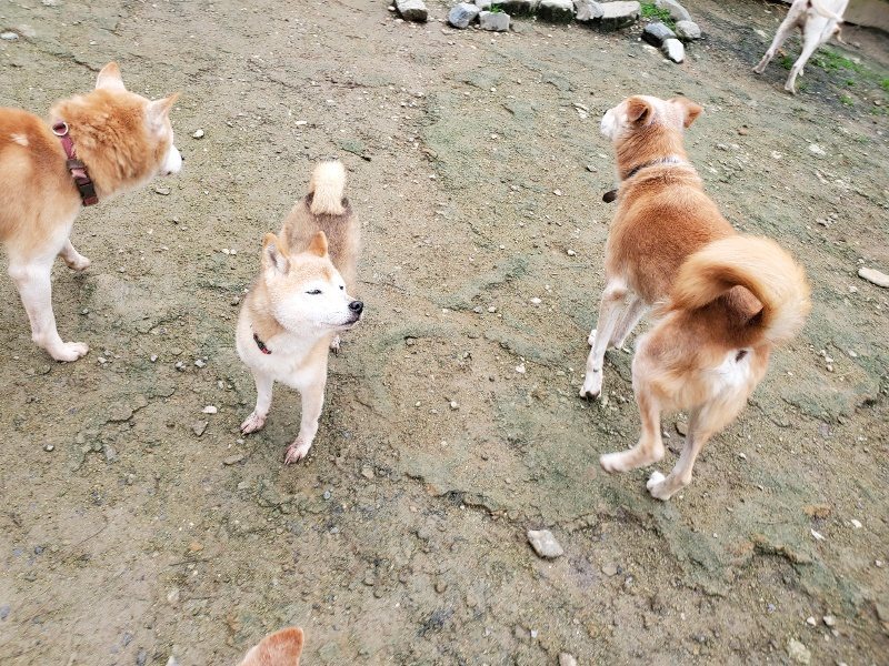 f:id:roukenhome-ann:20191027152730j:plain