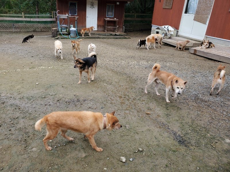 f:id:roukenhome-ann:20191027152748j:plain
