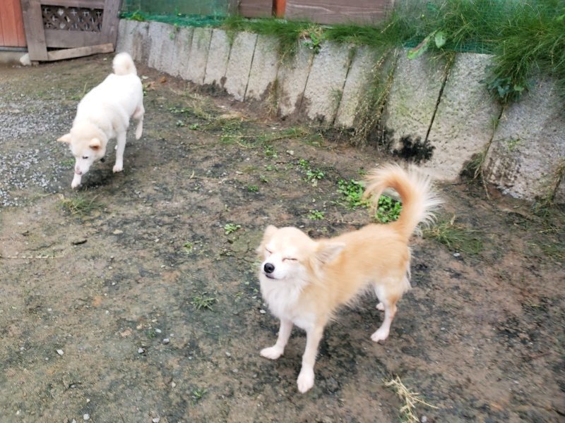 f:id:roukenhome-ann:20191027152755j:plain