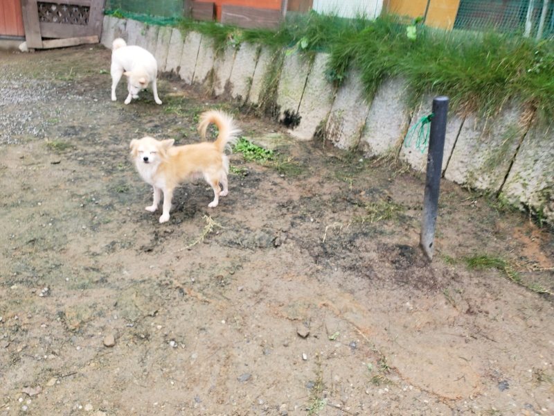 f:id:roukenhome-ann:20191027152817j:plain