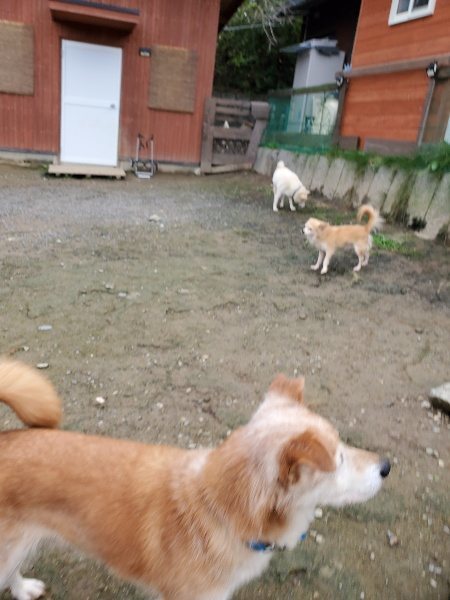 f:id:roukenhome-ann:20191027152826j:plain