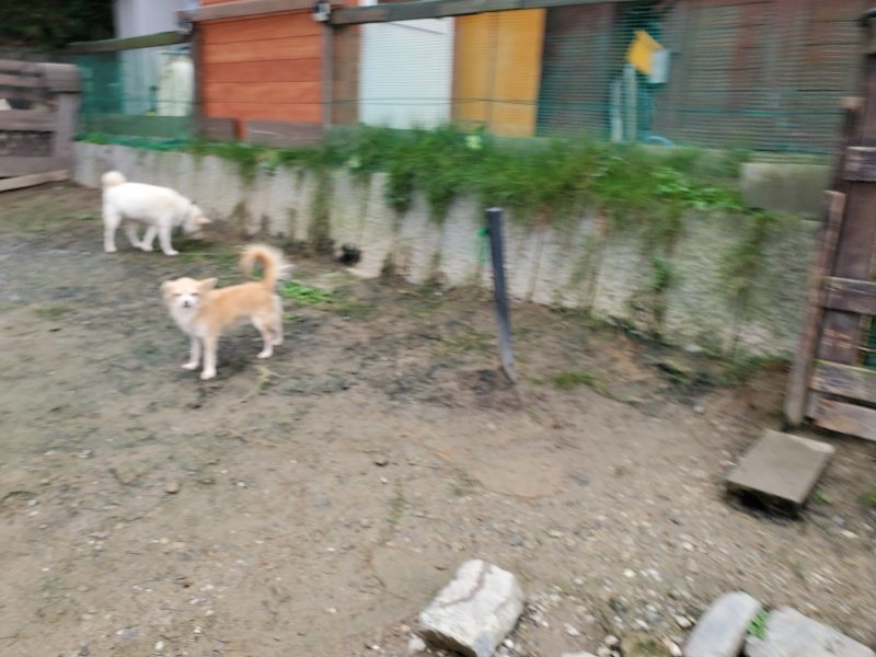f:id:roukenhome-ann:20191027152832j:plain