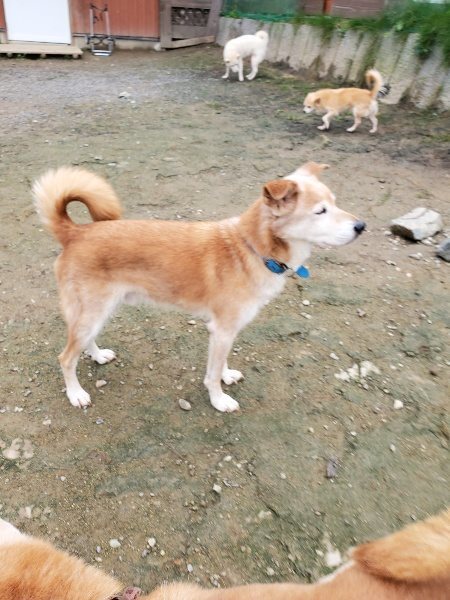 f:id:roukenhome-ann:20191027152837j:plain