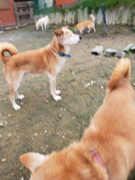 f:id:roukenhome-ann:20191027152843j:plain