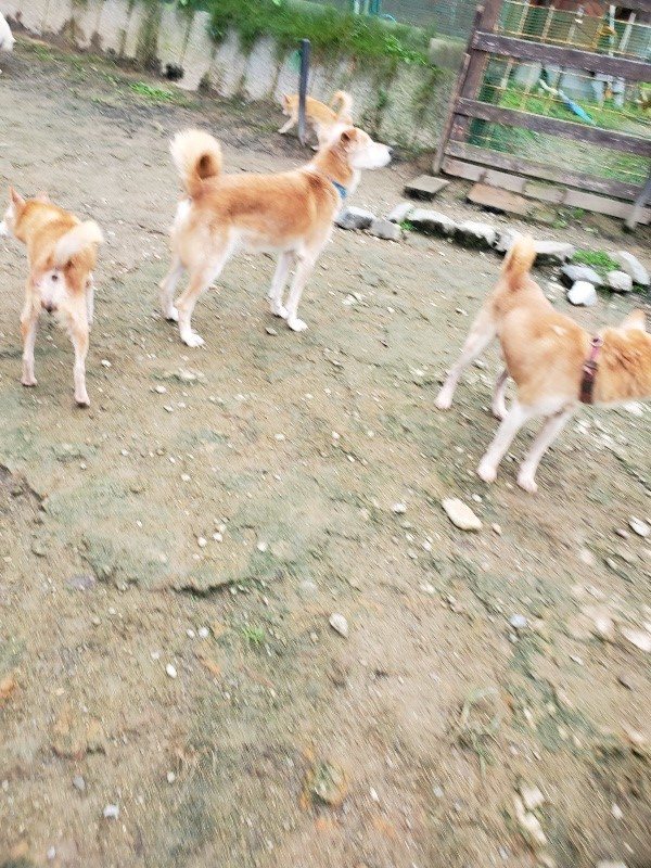 f:id:roukenhome-ann:20191027152912j:plain