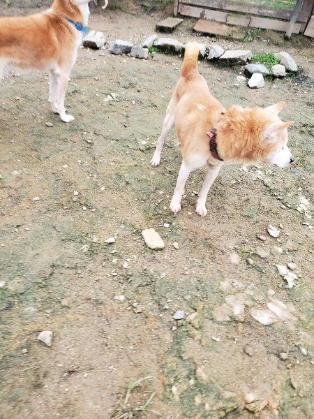 f:id:roukenhome-ann:20191027152917j:plain