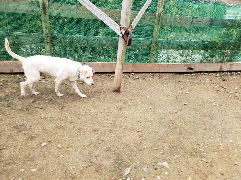 f:id:roukenhome-ann:20191027152957j:plain