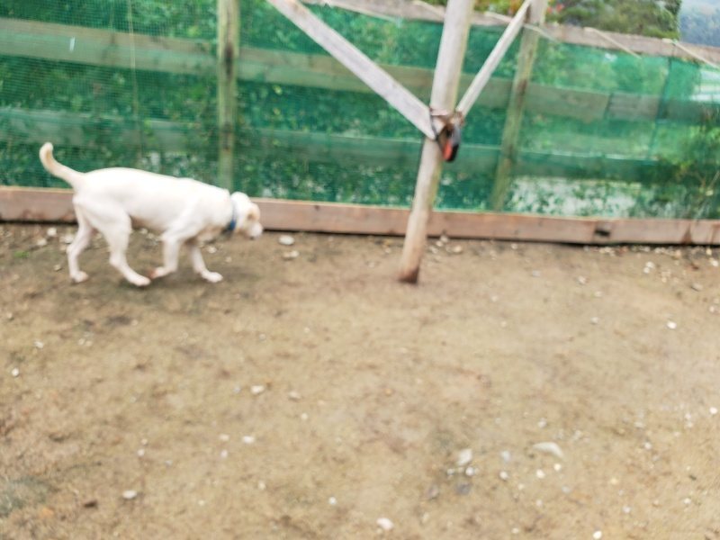 f:id:roukenhome-ann:20191027153002j:plain