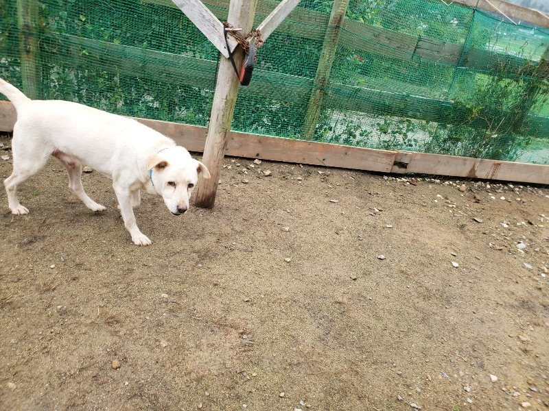 f:id:roukenhome-ann:20191027153010j:plain