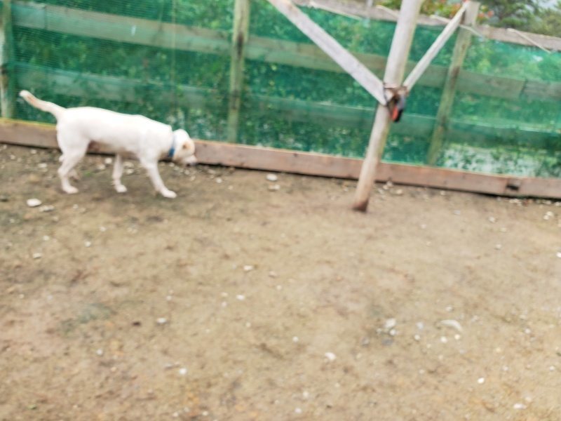 f:id:roukenhome-ann:20191027153021j:plain