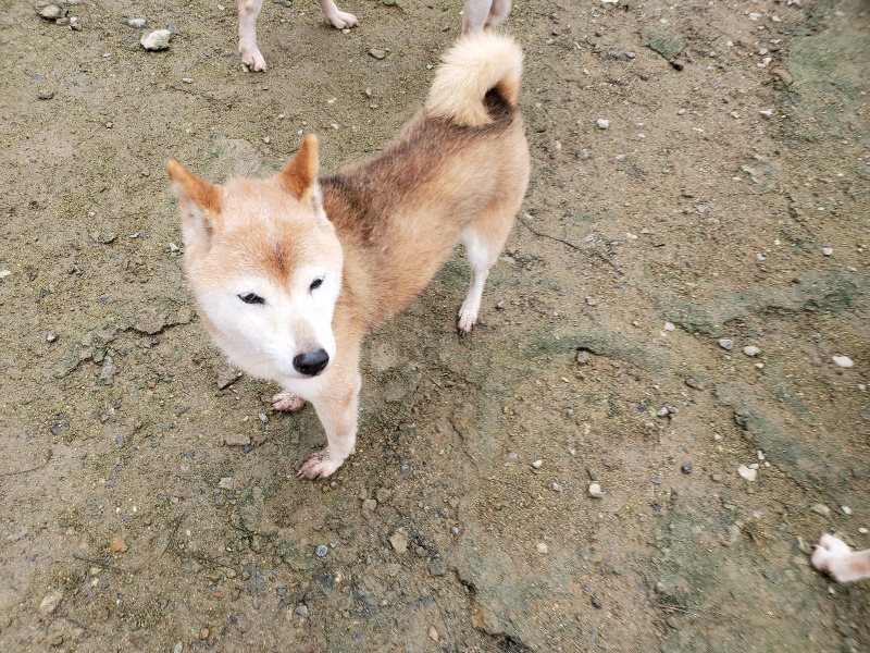 f:id:roukenhome-ann:20191027153036j:plain