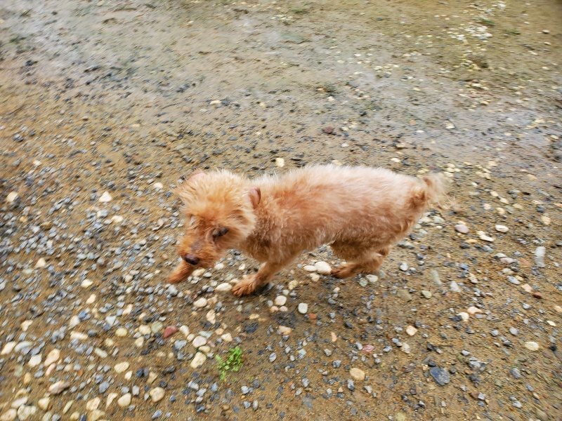 f:id:roukenhome-ann:20191027181100j:plain
