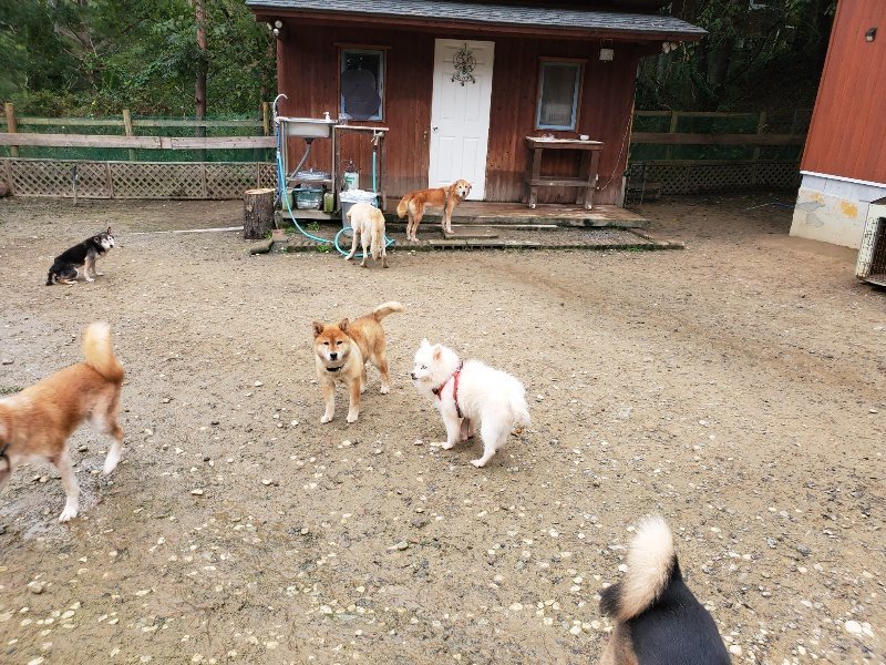 f:id:roukenhome-ann:20191027181111j:plain