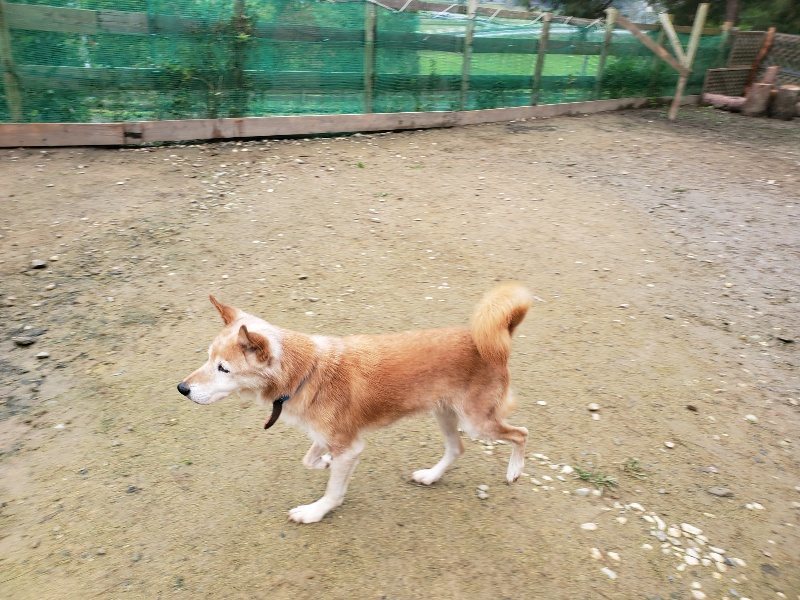 f:id:roukenhome-ann:20191027181119j:plain