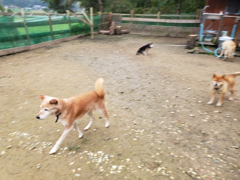 f:id:roukenhome-ann:20191027181127j:plain