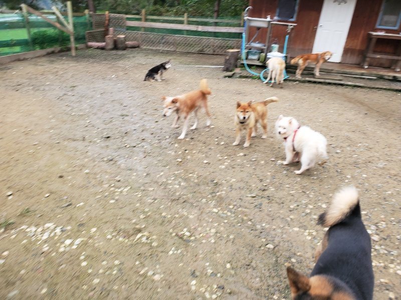 f:id:roukenhome-ann:20191027181134j:plain