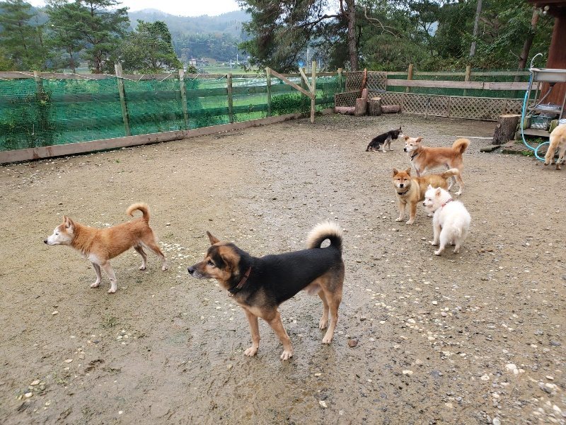 f:id:roukenhome-ann:20191027181144j:plain