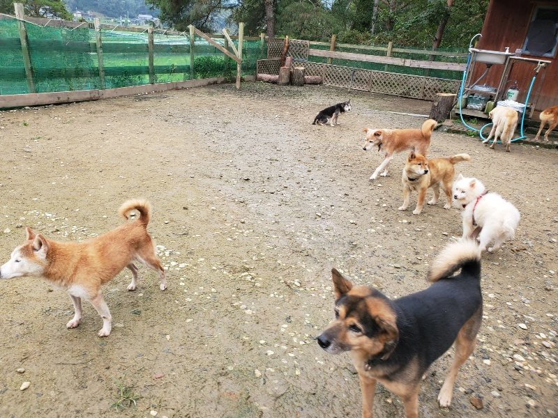 f:id:roukenhome-ann:20191027181155j:plain