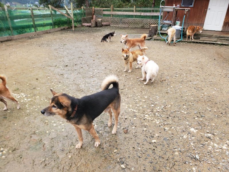 f:id:roukenhome-ann:20191027181201j:plain