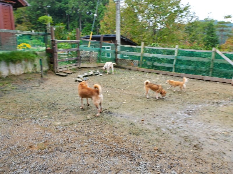 f:id:roukenhome-ann:20191027181241j:plain